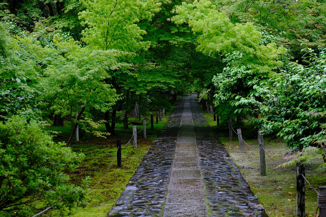 参道の写真