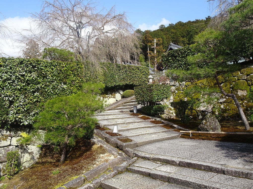 圓光寺境内の写真