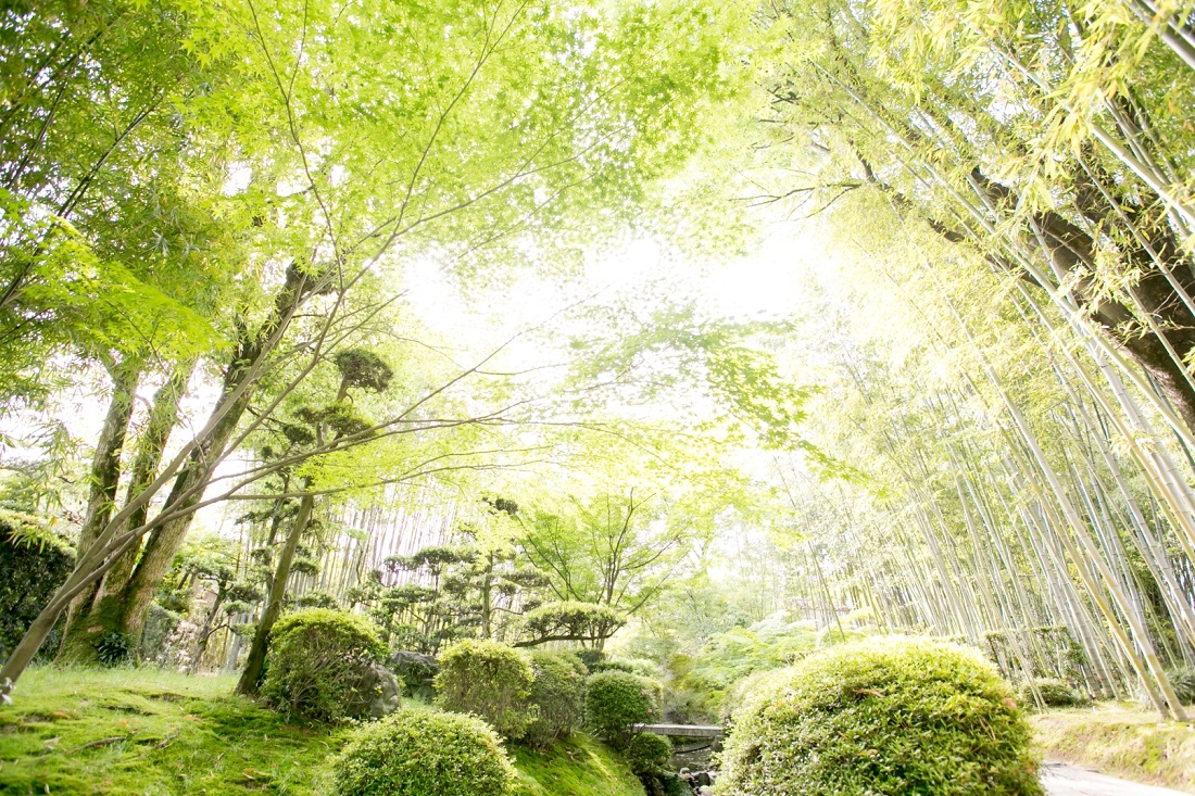 八幡市立松花堂庭園・美術館の写真