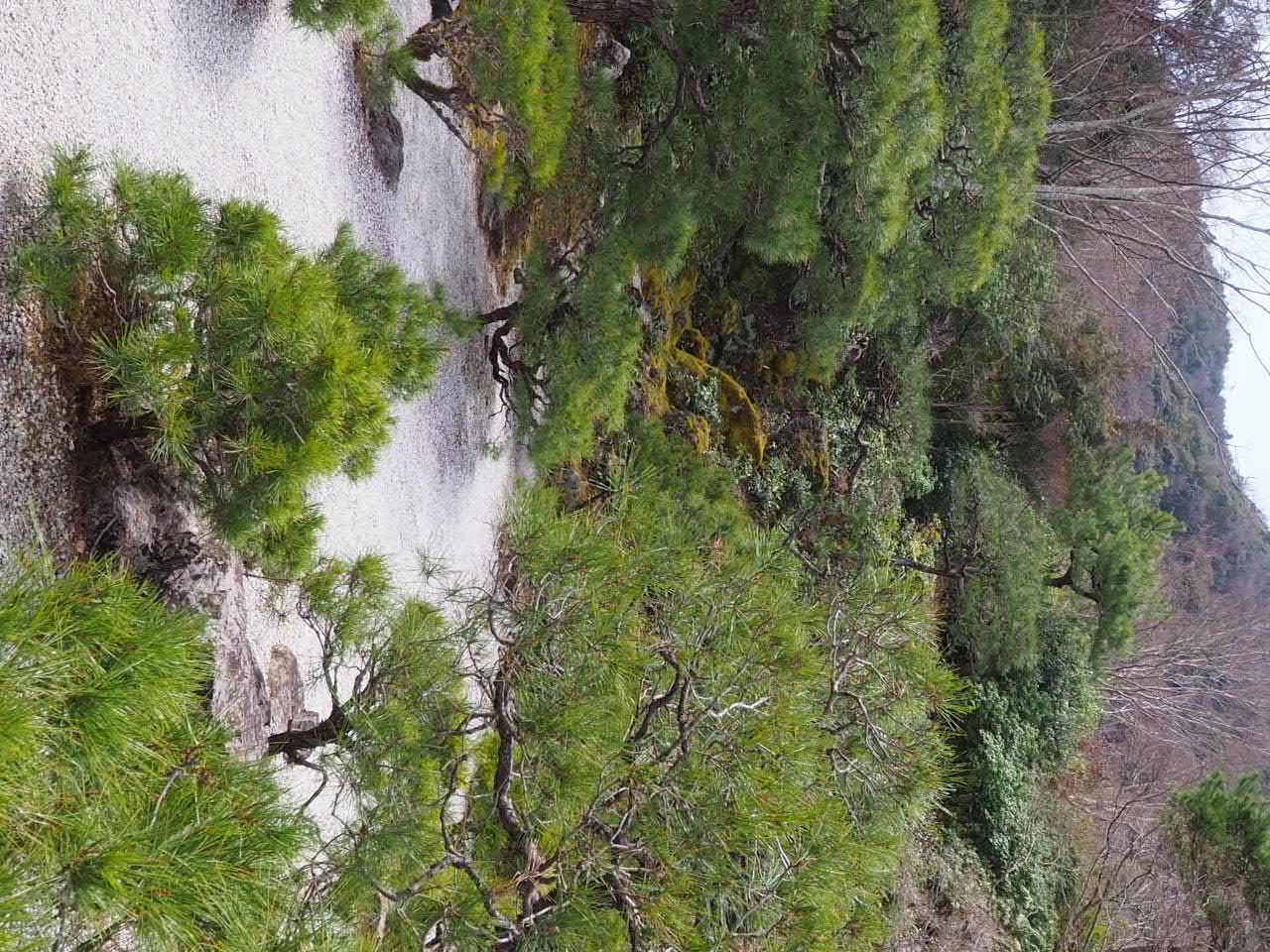 大河内山荘庭園の写真