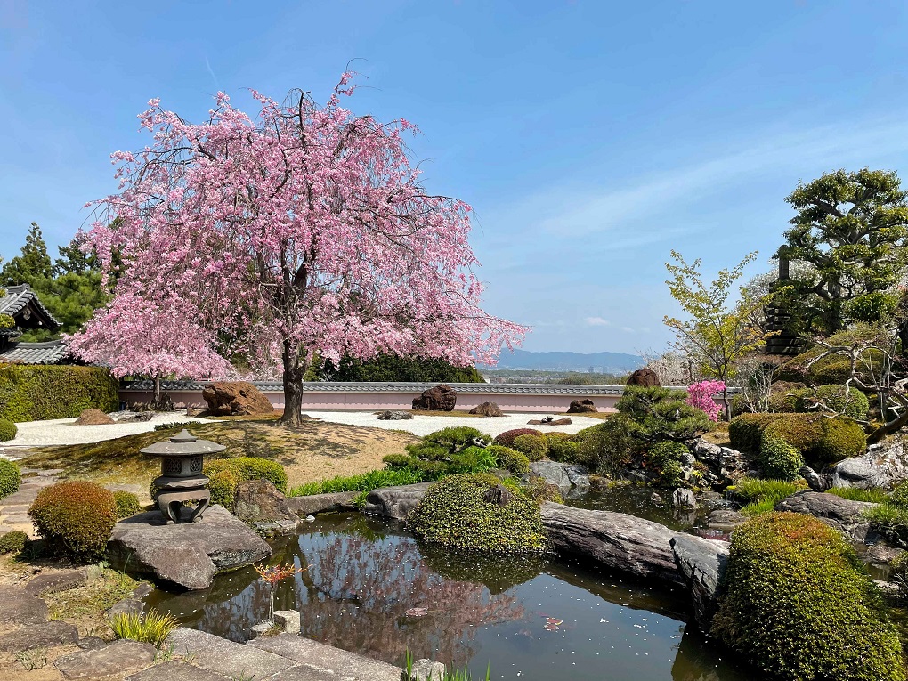 正法寺の写真