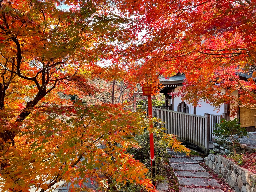稲荷殿の紅葉の写真