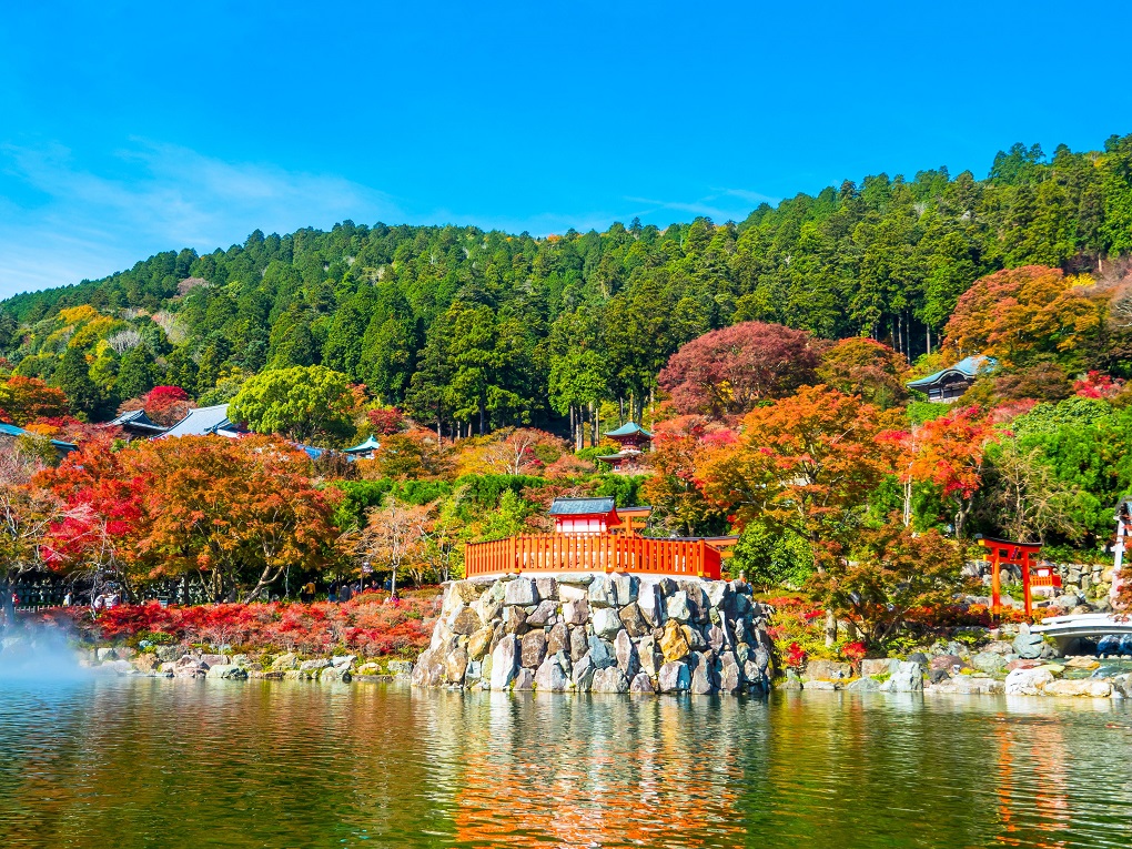 弁天池（秋）の写真
