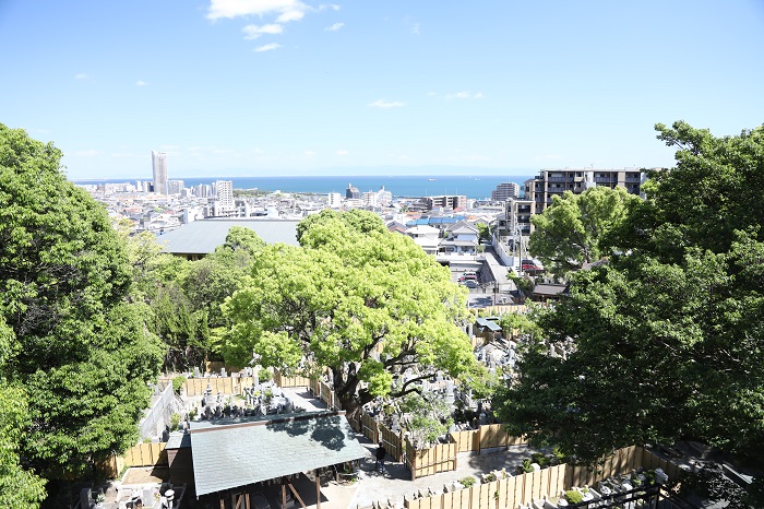 須磨浦方面の写真