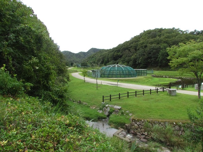 兵庫県立コウノトリの郷公園の写真