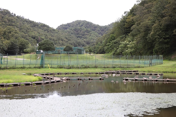 兵庫県立コウノトリの郷公園の写真