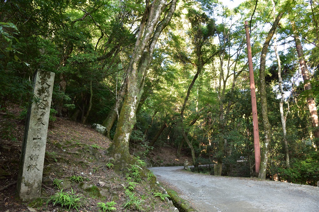 春日山原始林の写真