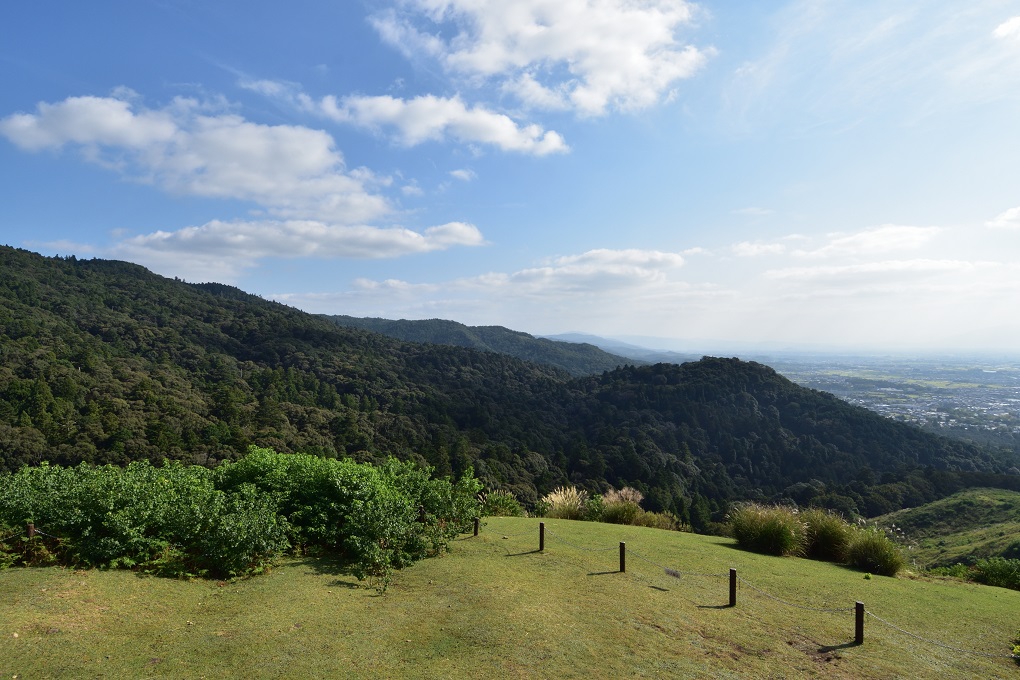 若草山山頂よりの写真