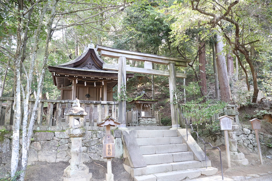 摂社 出雲建雄神社の写真