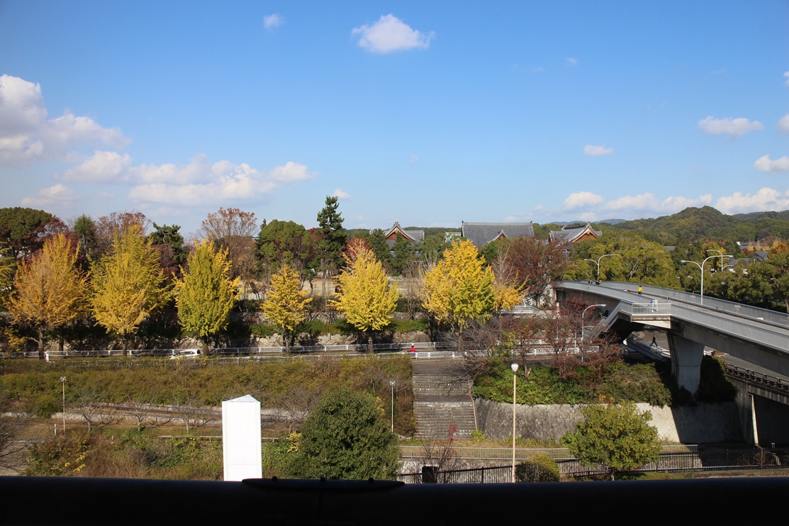 親里大路のイチョウ並木の写真