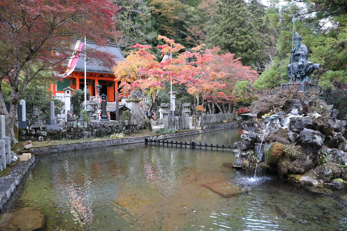 龍泉寺の写真