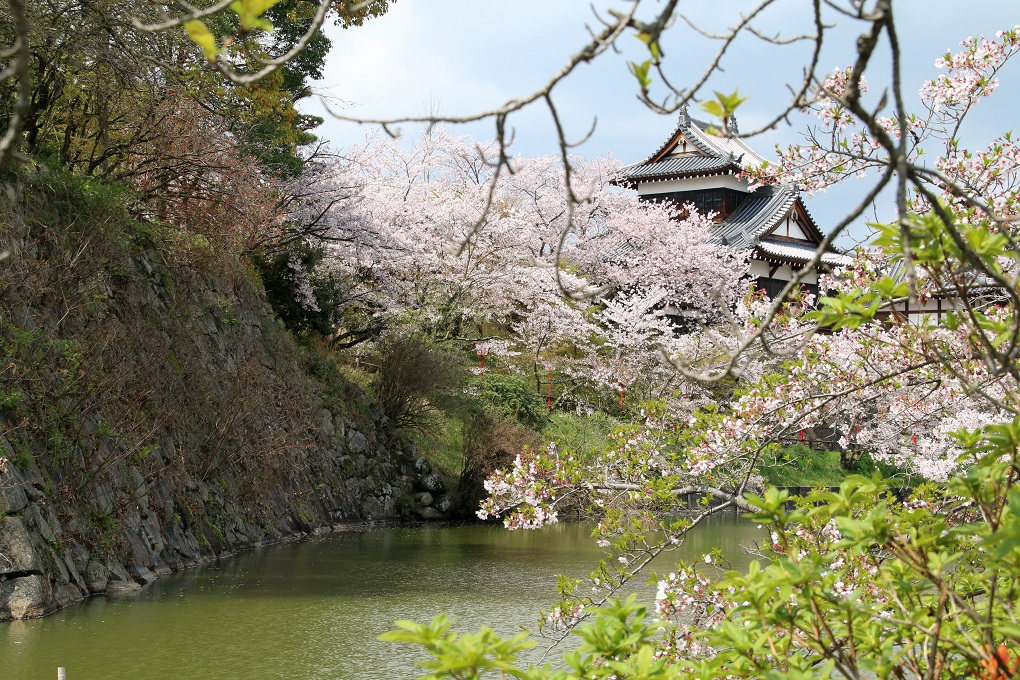 毘沙門曲輪東側の写真