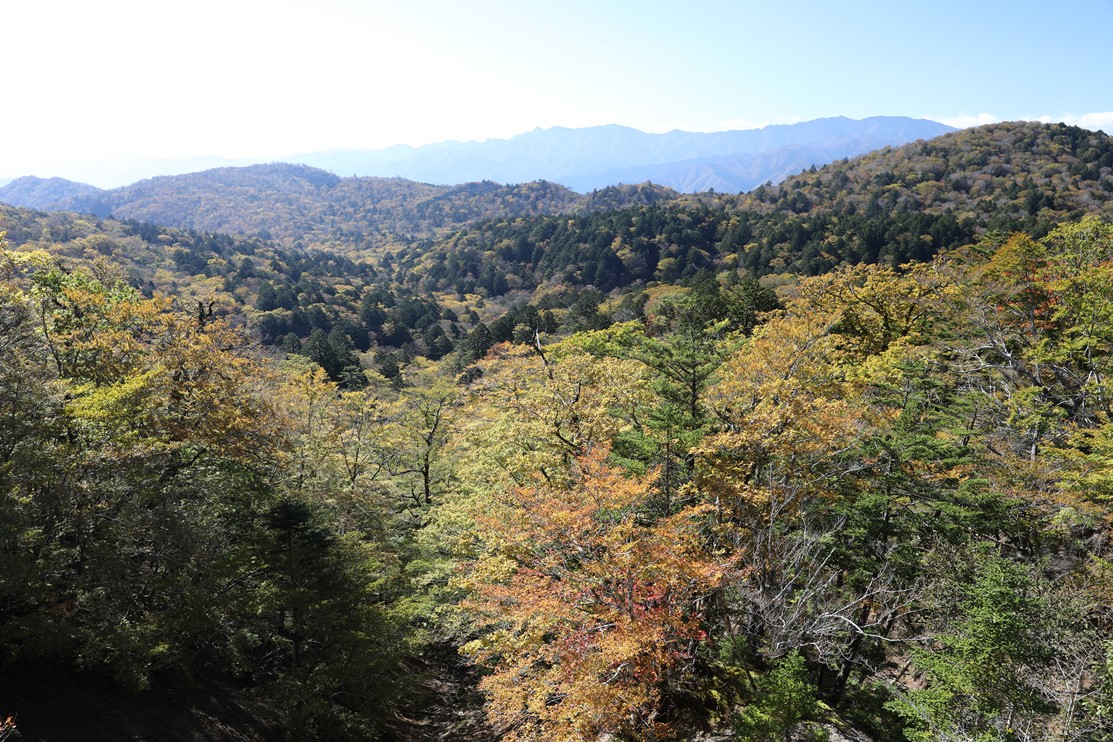 大台ヶ原ドライブウエイからの大峰山系方面の写真