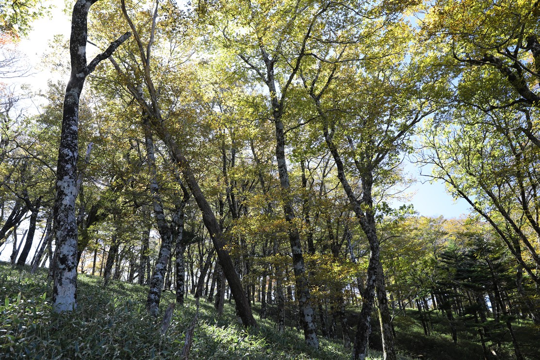 西大台ケ原調整地区入口の写真