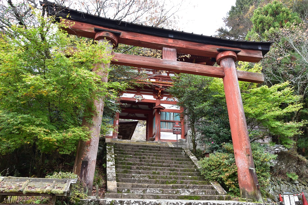 鳥居と楼門の写真