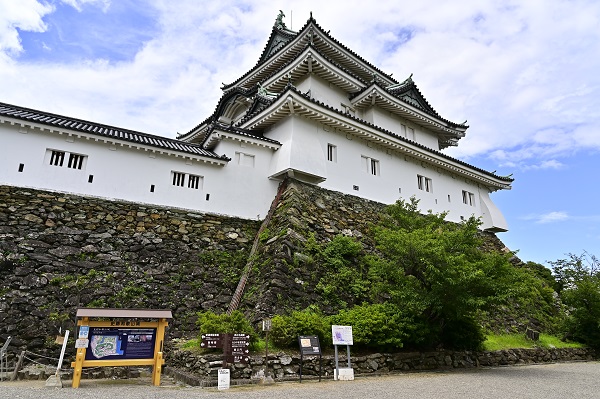 和歌山城の写真