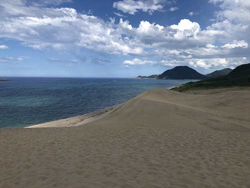 海浜からそそりたつ砂の堆積（馬の背）の写真