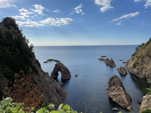 網代展望台からの千貫松島の海食洞門の写真