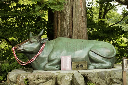 大山寺、牛慰霊のために寄進された宝牛の写真