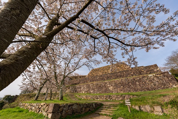 米子城跡天守台と桜の写真