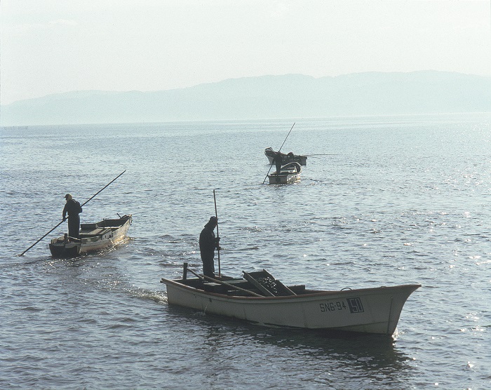 宍道湖のシジミ漁の写真