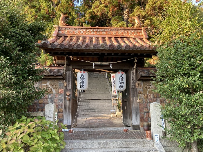 天津神社の写真