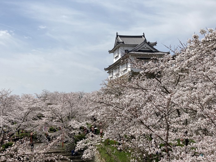 津山城の写真