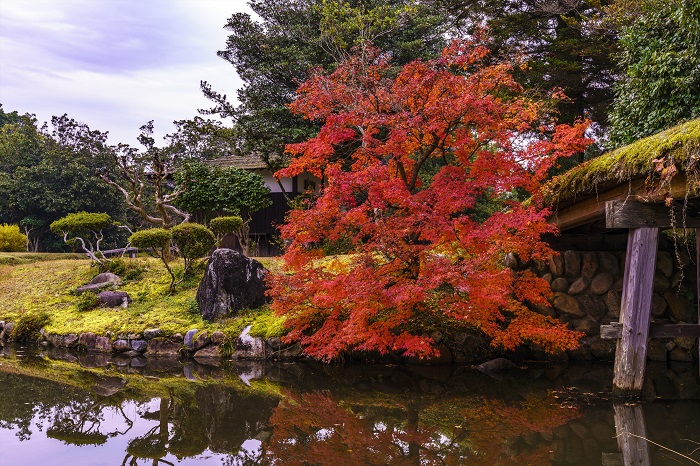 衆楽園　秋の写真