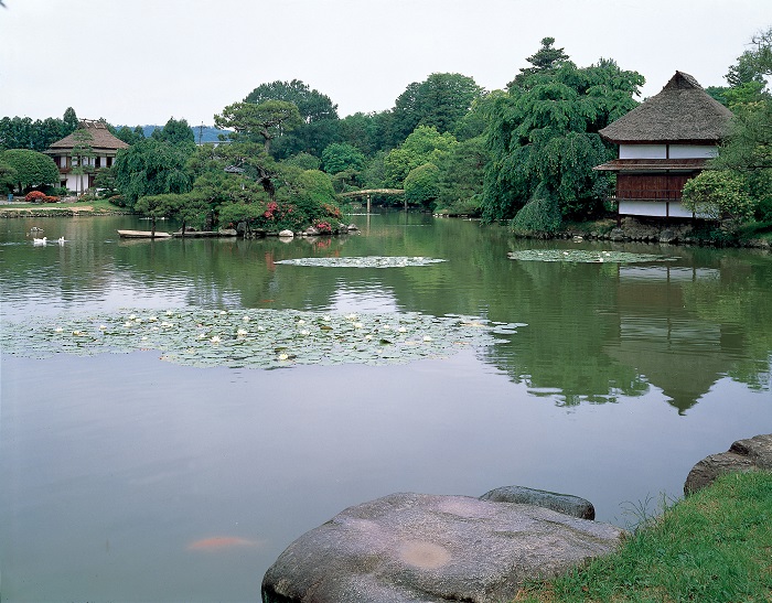 衆楽園　夏の写真