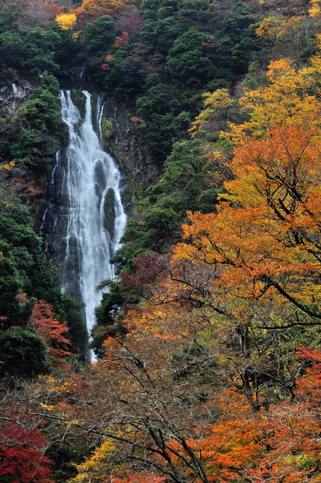 神庭の滝の写真