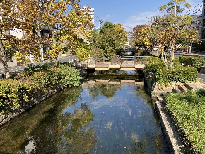 西川緑道公園の写真