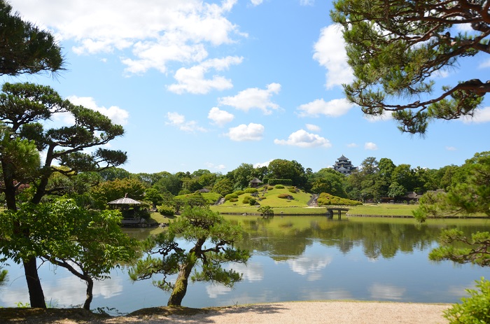 岡山城天守を望むの写真