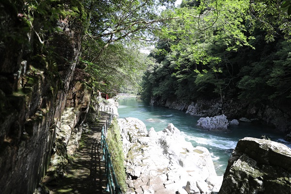 遊歩道の写真