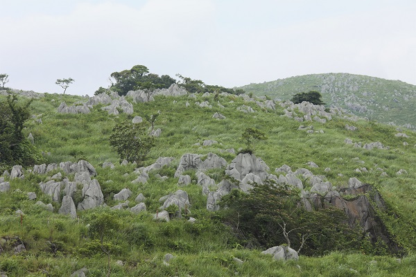 秋吉台・秋芳洞の写真