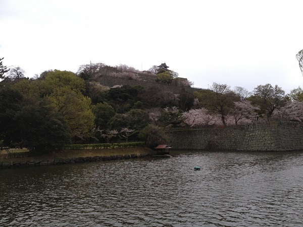 丸亀城の写真