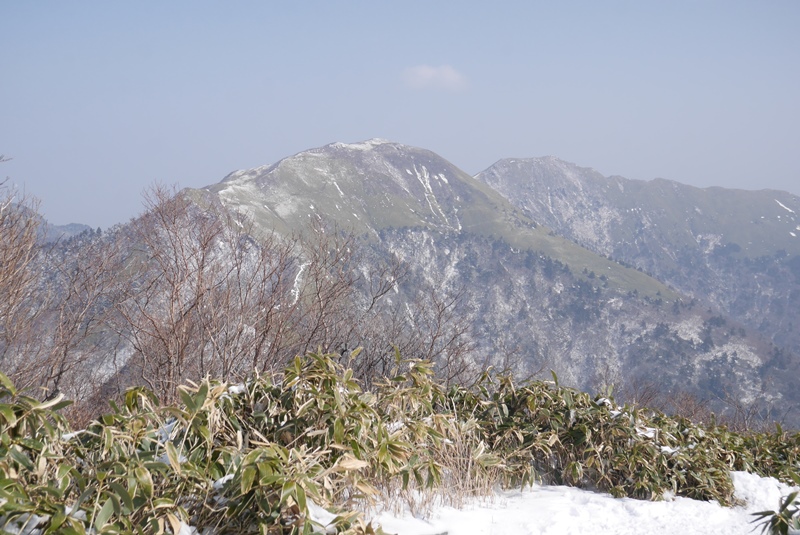笹ヶ峰の写真