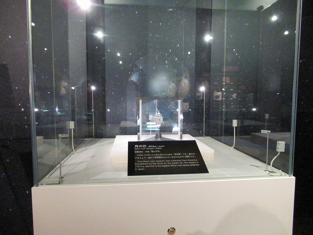 北九州市立いのちのたび博物館の写真