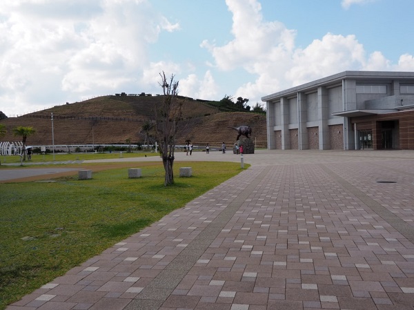 野母崎水仙の丘・恐竜博物館の写真