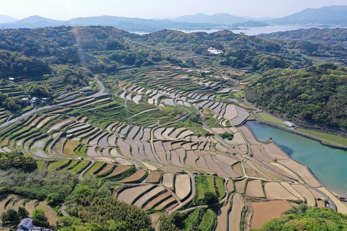 土谷棚田の写真