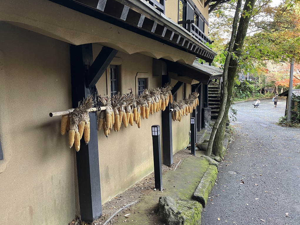 温泉街の写真