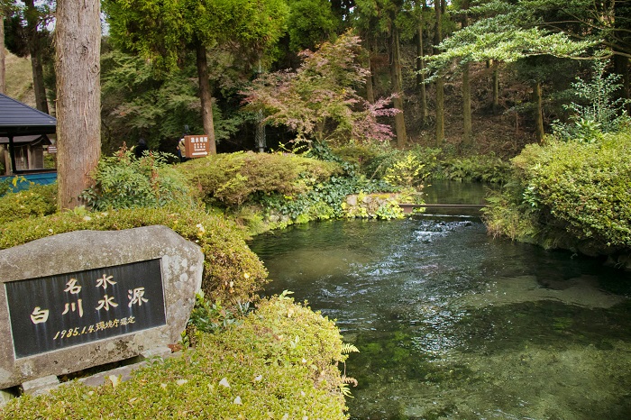 白川水源の写真