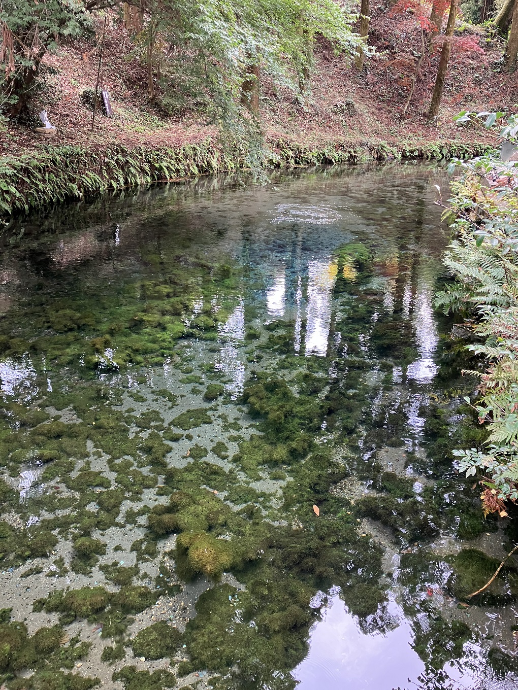 湧水場所の写真