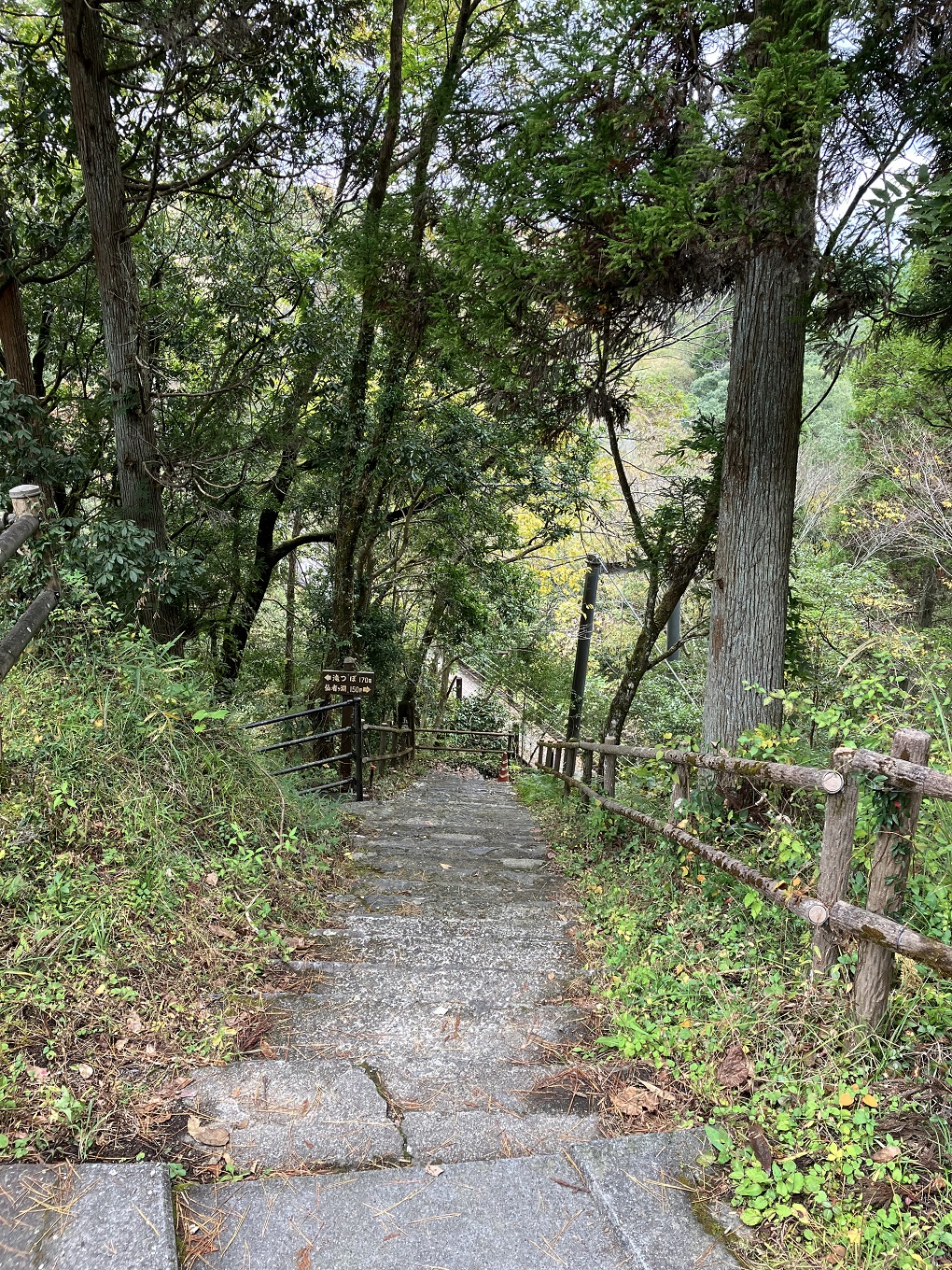 遊歩道の写真