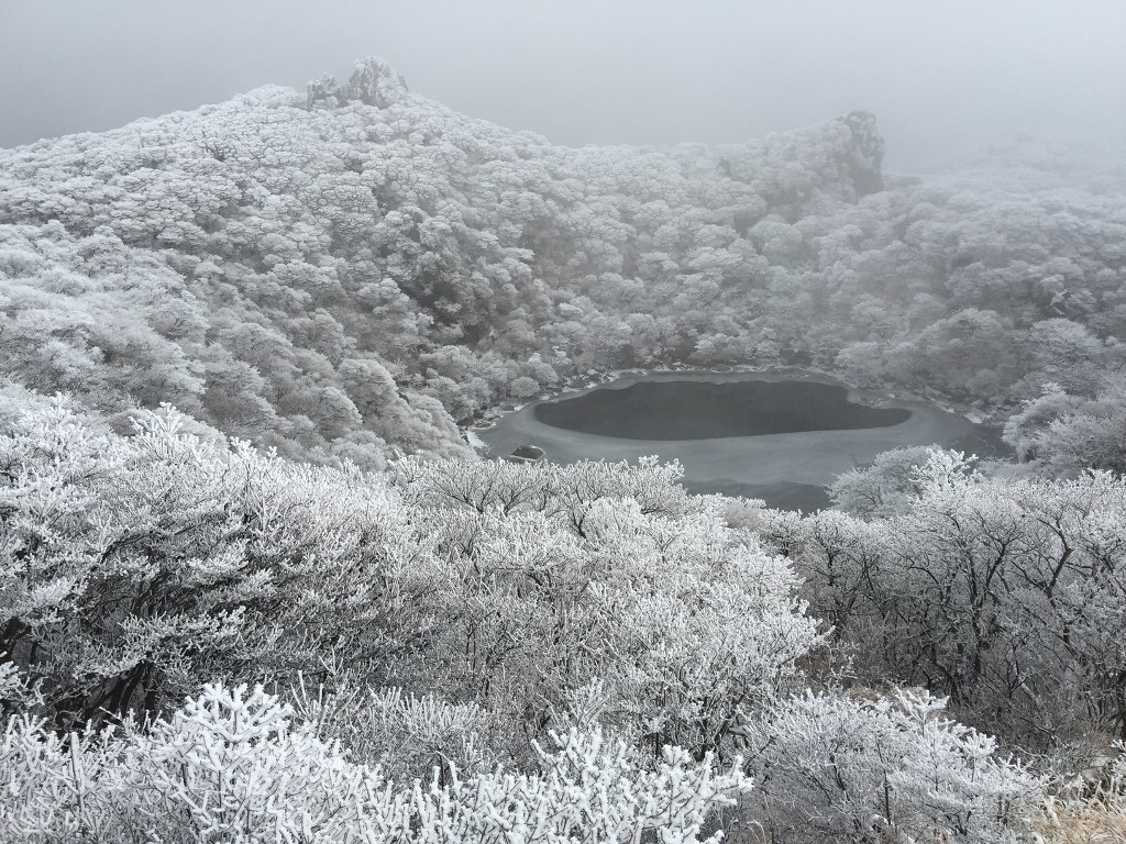 大船山初冠雪の写真
