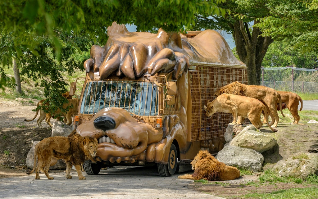 九州自然動物公園アフリカンサファリの写真