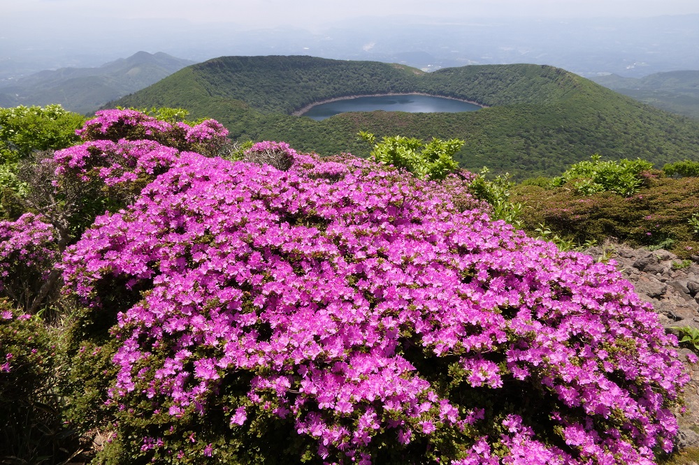 韓国岳（大浪池方面を撮影）の写真