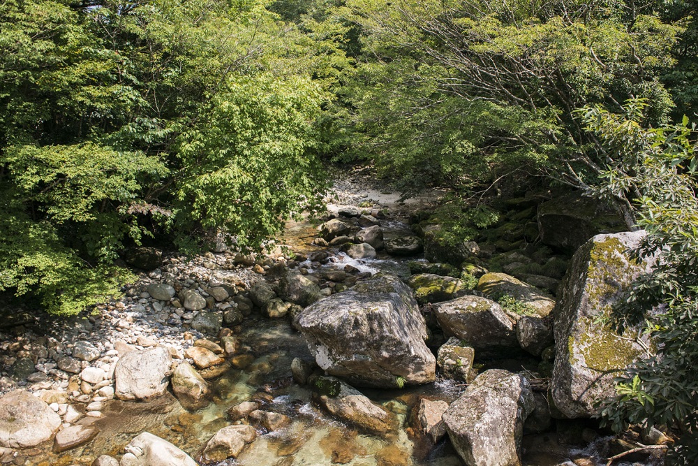 鹿川渓谷の写真